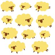 pretty sheep N15