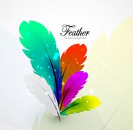 Vector color feathers abstract background N3