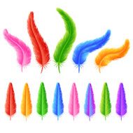 The Set of colorful feathers