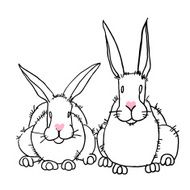 Hand drawn vector rabits