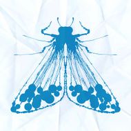 Moth on crumpled paper