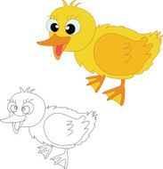 Illustraiton of duckling chicks on white N2