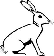 Rabbit N97