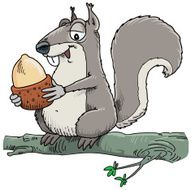squirrel N34