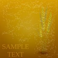 Vector wheat creative background N2