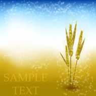 Vector wheat abstract background