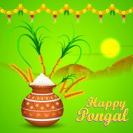 Happy Pongal N13
