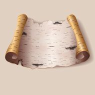 Piece of birch bark N3