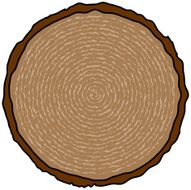 Tree Ring