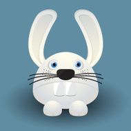 Cute baby rabbit