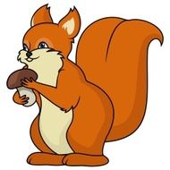Squirrel holding mushroom