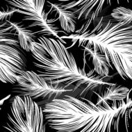 Seamless Pattern of black and white Feathers N3