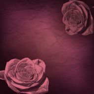 Vintage rose Flowers