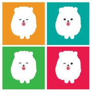 Vector image of an dog pomeranian