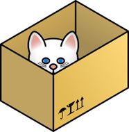 Cat in a Box