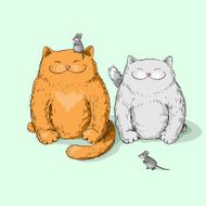 Full cats N2