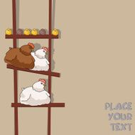 hens and chicken