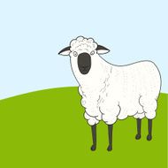 Cartoon Sheep N75