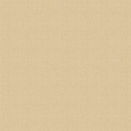 beige texture