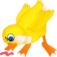 little duckling cartoon isolation on a white background