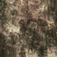 Grunge Background N1249
