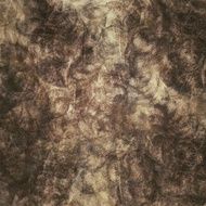 Grunge Background N1251