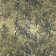 Grunge Background N1257