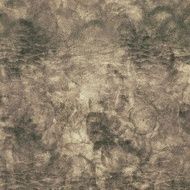 Grunge Background N1258