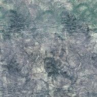 Grunge Background N1259