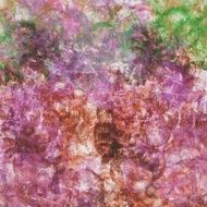 Grunge Background N1261