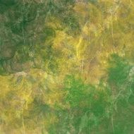 Grunge Background N1286