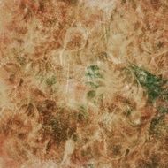 Grunge Background N1295