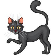 Black Cat N63