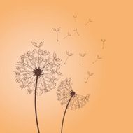 Flying dandelion
