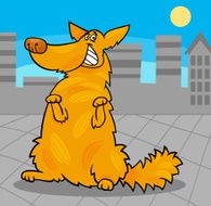 happy yellow shaggy standing dog N2