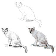 Cat N105