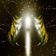 Angel N139