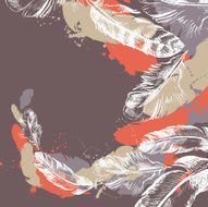 Abstract feather background N4