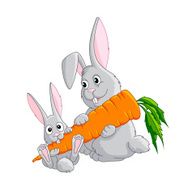 Funny rabbits N3