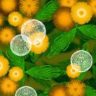 Yellow dandelion flowers