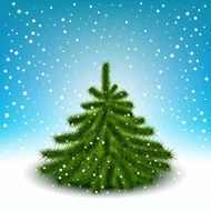 Little fluffy Christmas tree