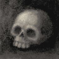 Skull N79