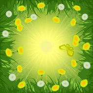 Dandelions background N5