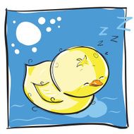 Chick sleeping