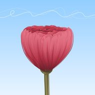 poppy N8