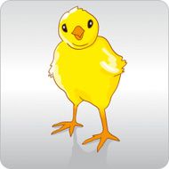 Chicken N44