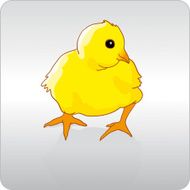 Chicken N45