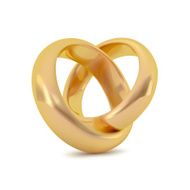 Realistic golden couple ring Vector object