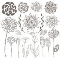 Vector hand drawn vintage floral elements N2