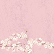 cherry blossom N39